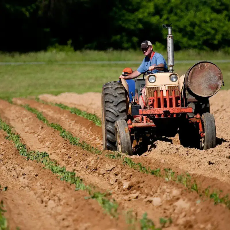Farm workers driving a tractor through a field